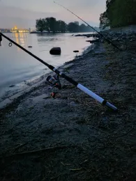 Rhein (Ingelheim / Oestrich-Winkel))-1