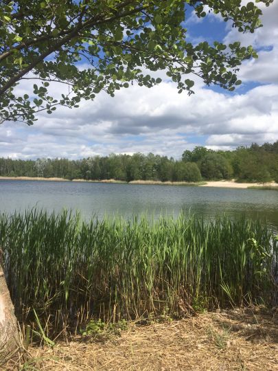 Badesee Sachsendorf-3