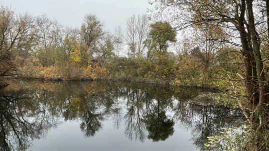 Kiesgrube Röpzig-4