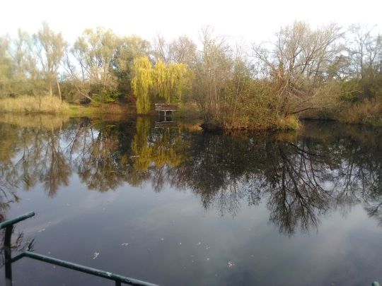Kiesgrube Röpzig-3