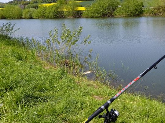 Teich Blickershausen-1