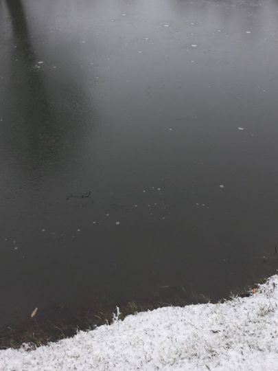 Angelteiche Beverstedt-2