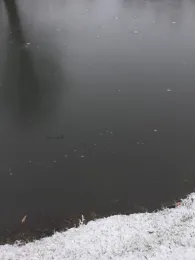 Angelteiche Beverstedt-2