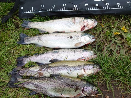 Angelteiche Beverstedt-1