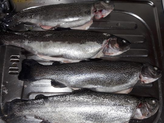 Angelteiche Beverstedt-4