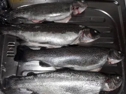 Angelteiche Beverstedt-4