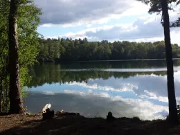 Kleiner Tonsee (Bestensee)-3