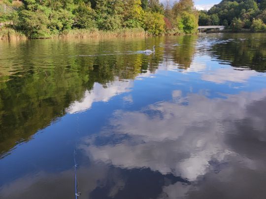 Werra (Hann. Münden)-4