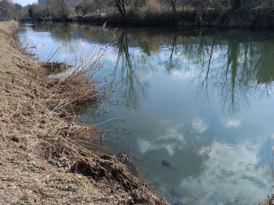 Werra (Hann. Münden)-2