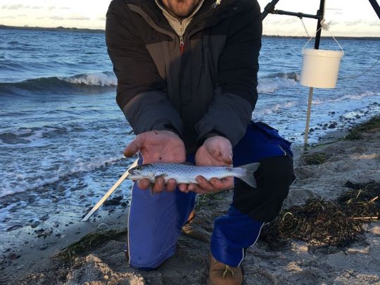 Flensburger Förde (Langballigau)-4