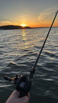 Flensburger Förde (Langballigau)