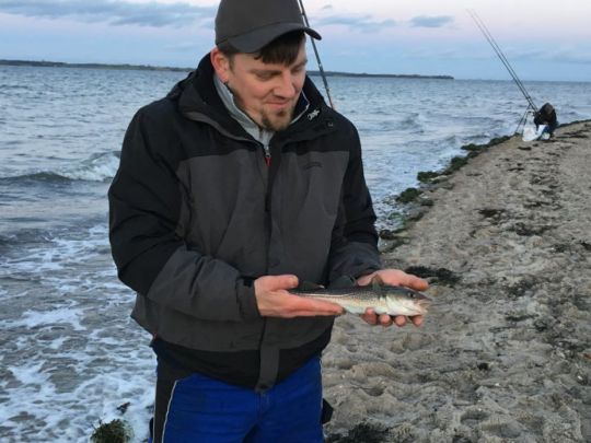 Flensburger Förde (Langballigau)-3