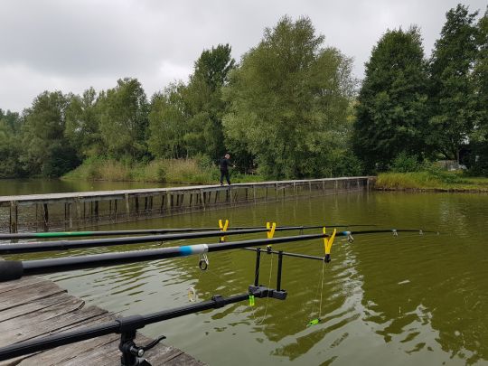 Angelteich Weselsdorf angeln