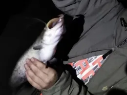 Großer Lienewitzsee