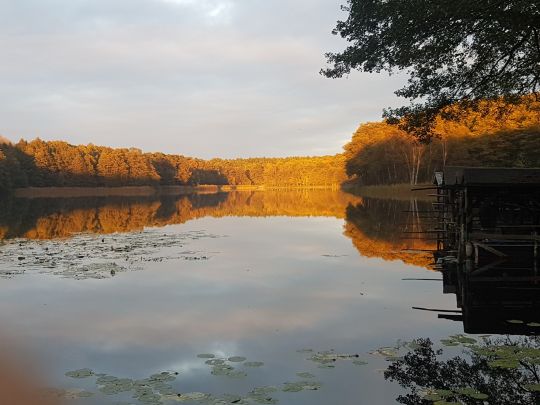 Großer Lienewitzsee-2