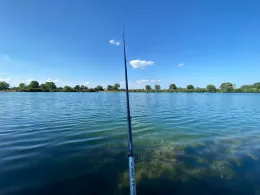 Surfsee (St. Leon-Rot)