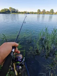 Surfsee (St. Leon-Rot)-2