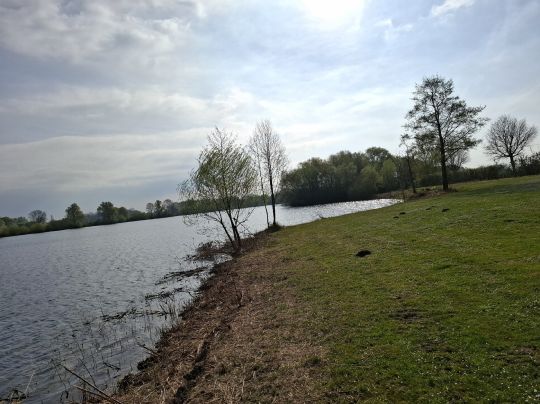 Surfsee (St. Leon-Rot)-4