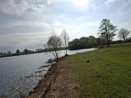 Surfsee (St. Leon-Rot)-4