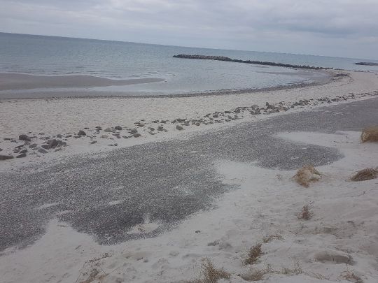 Ostsee (Heidkate)-1