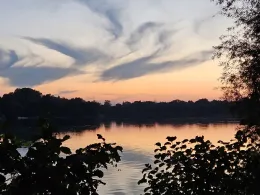 Großer Moorsee (Meckelfeld)