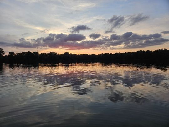 Großer Moorsee (Meckelfeld)-1