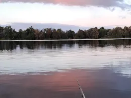 Großer Moorsee (Meckelfeld)-2