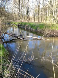 Schwartau (Bad Schwartau)