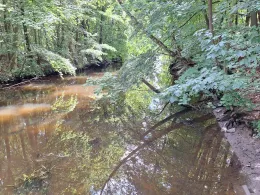 Schwartau (Bad Schwartau)-2