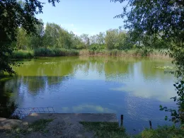 Badeteich (Schwemsal)-1