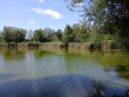 Badeteich (Schwemsal)-2