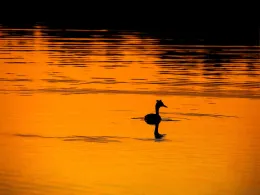 Rudower See (Lenzen)