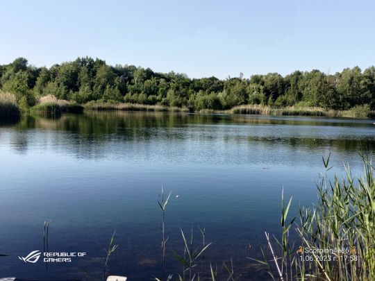 Kiesgrube Finsterwalder Straße (Doberlug-Kirchhain)-1