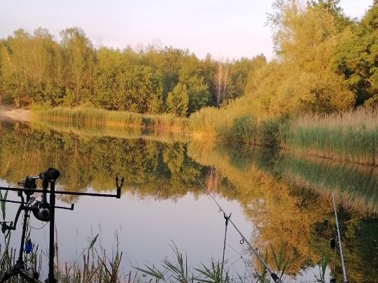 Kiesgrube Finsterwalder Straße (Doberlug-Kirchhain) angeln