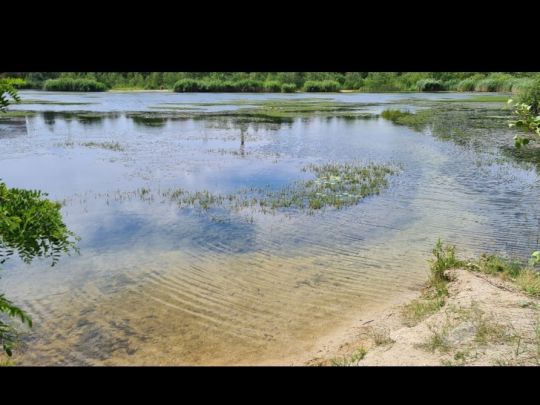 Kiesgrube Finsterwalder Straße (Doberlug-Kirchhain)-3