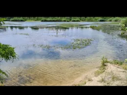 Kiesgrube Finsterwalder Straße (Doberlug-Kirchhain)-3