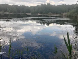 Kiesgrube Finsterwalder Straße (Doberlug-Kirchhain)-4