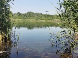 Kiesgrube Finsterwalder Straße (Doberlug-Kirchhain)-4