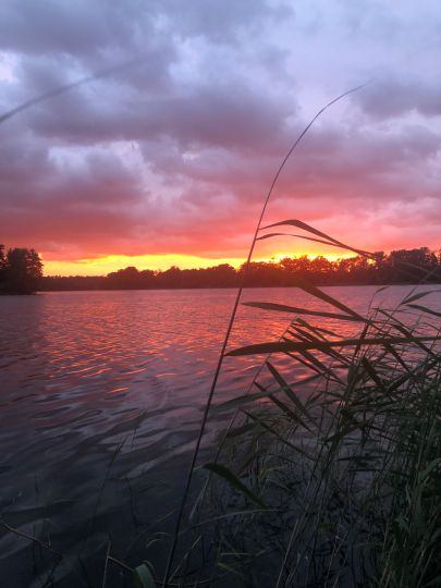 Großer Plessower See-3