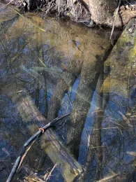 Großer Plessower See-1