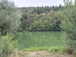 Haunestausee-4
