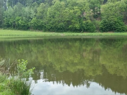Haunestausee