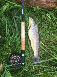 Isar (Moosburg an der Isar)-2