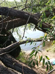 Grabensprung (Berlin-Biesdorf)-3