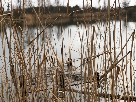 AWG Seen 1-3 (Gommern)-4