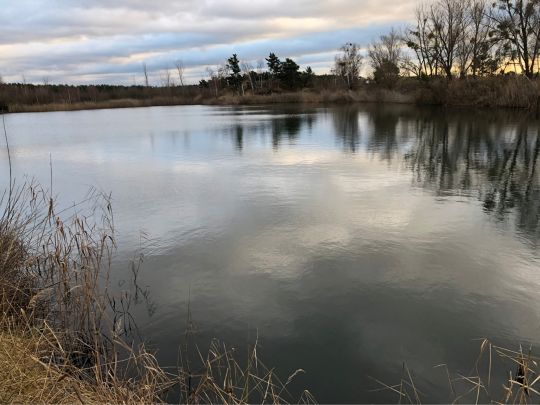 AWG Seen 1-3 (Gommern)-1