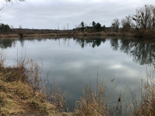 AWG Seen 1-3 (Gommern)-2