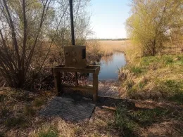 Buchholzsee (Brüssow)