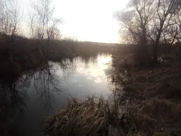 Buchholzsee (Brüssow)-1