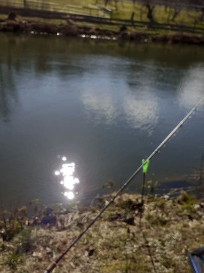 Mühlwiesenteiche (Schotten)